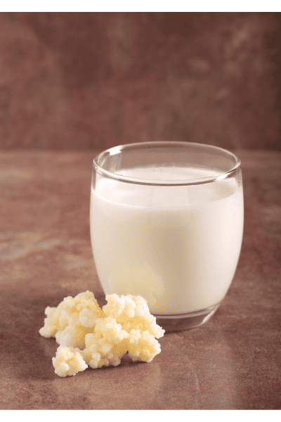 kefir milk drink with kefir grains next to it, this is an example of a wellness drinks