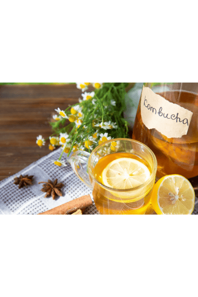 kombucha